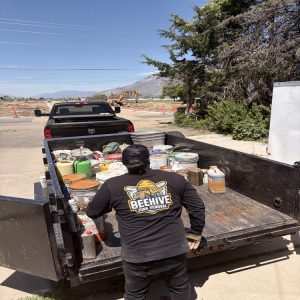 Junk Removal in Ogden, UT
